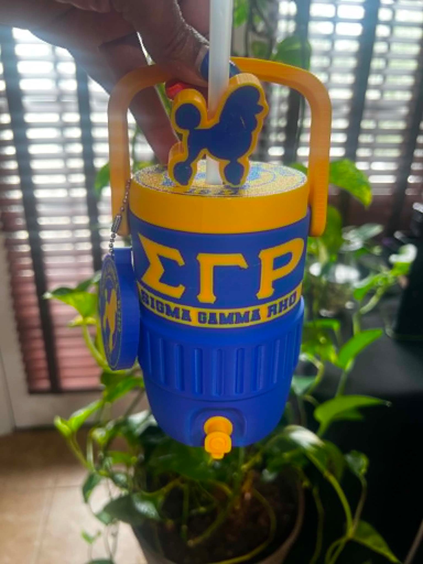 3D Soda Can Holder (12oz) ~ SGRHO