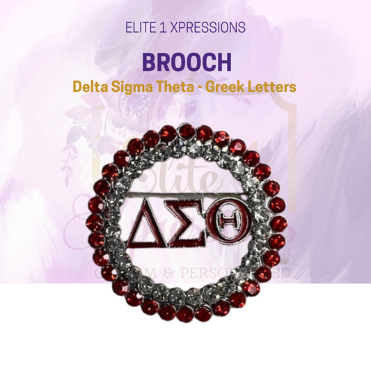 Brooch ~ Delta Sigma Theta - Greek letters
