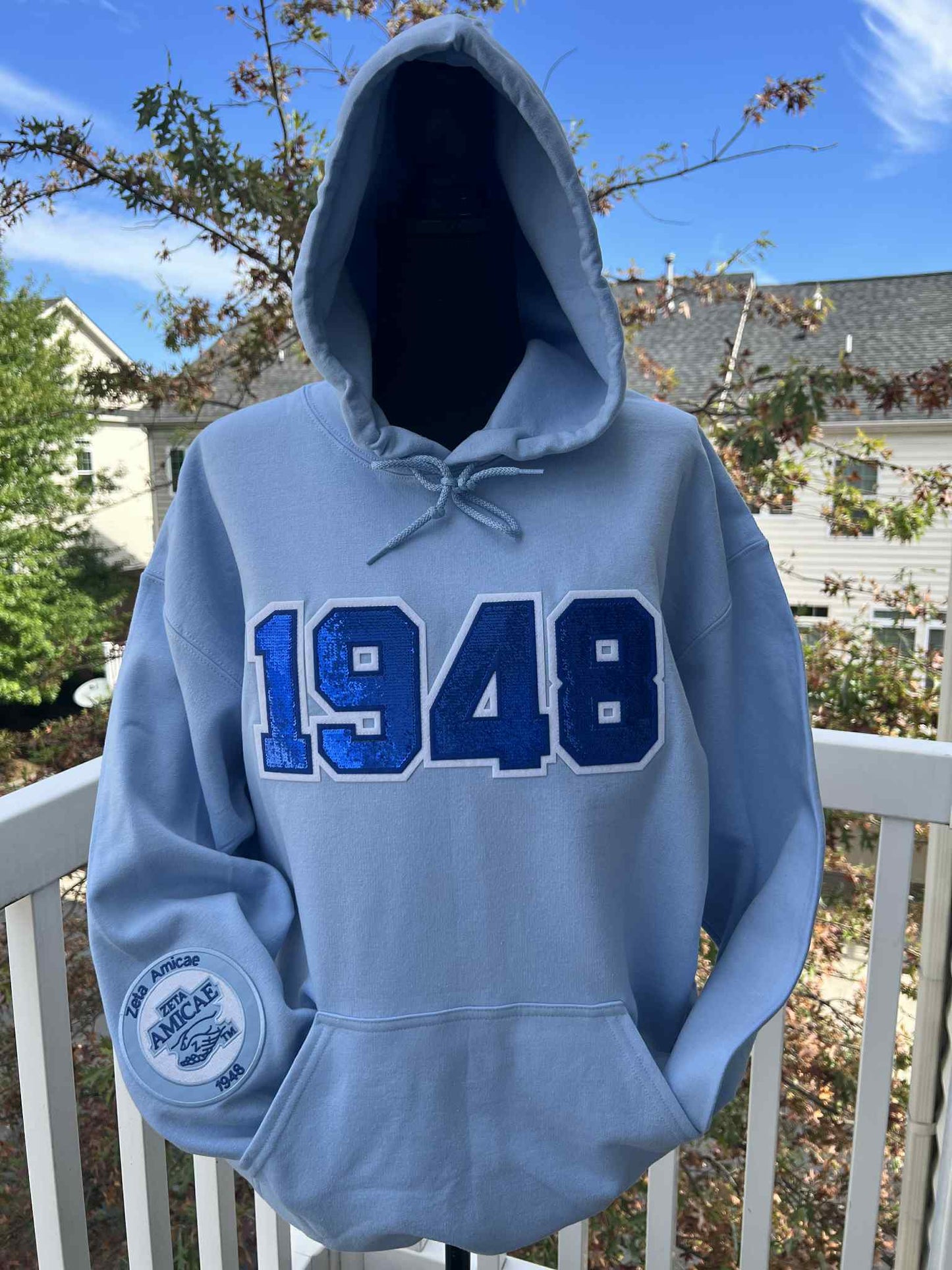 Zeta Amicae Hoodie – Exclusive Design