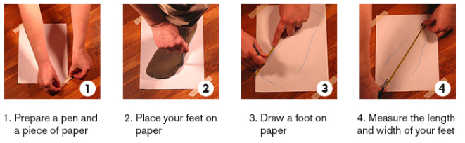 Shoe ~ Zeta Amicae Women's Breathable Athletic