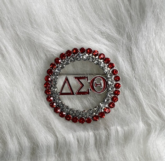 Brooch ~ Delta Sigma Theta - Greek letters