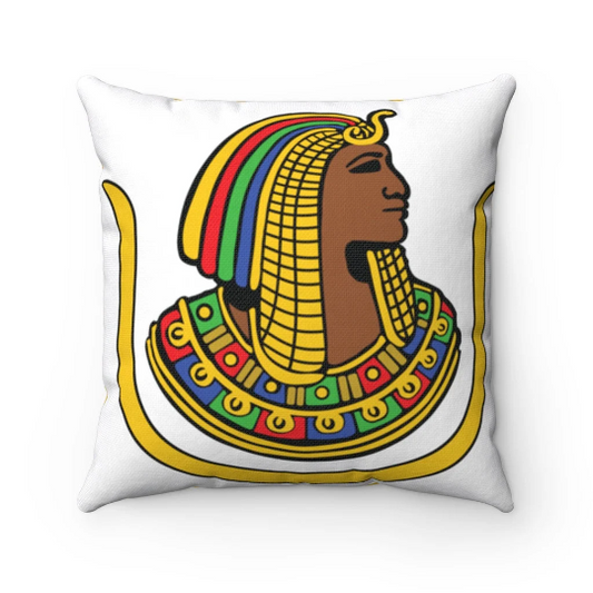 DOI Throw Pillow